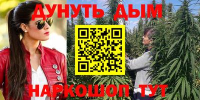 стаф Лесосибирск