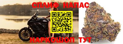 стаф Лесосибирск