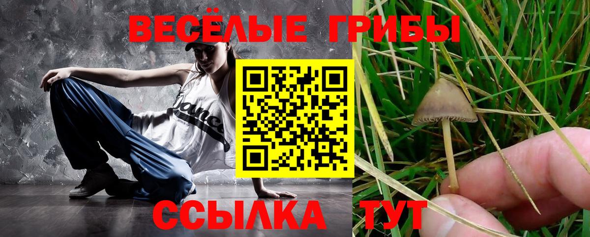Ижевск  Псилоцибиновые грибы мицелий  Псилоцибиновые грибы мицелий  Вход с VPN 