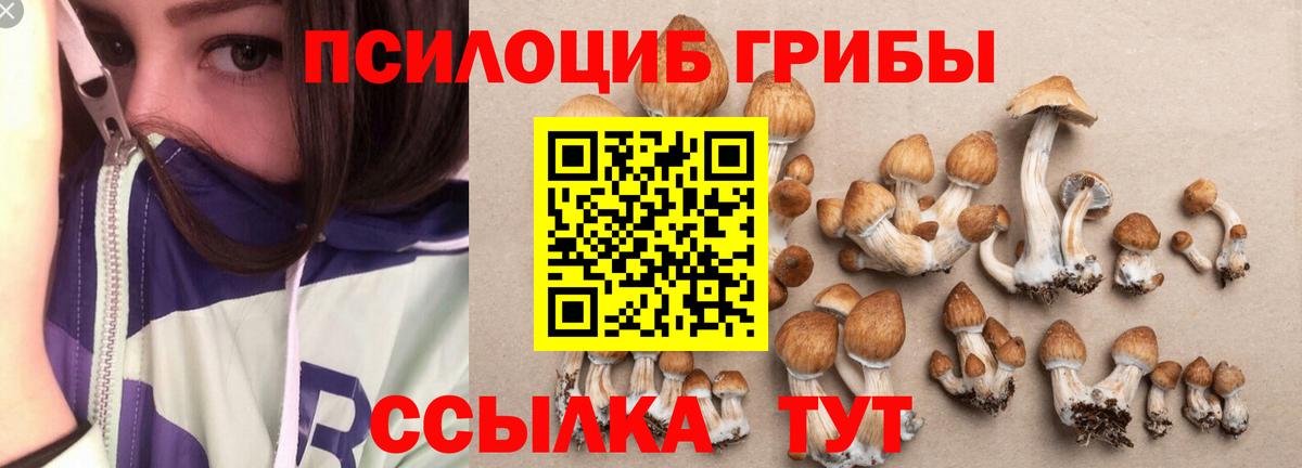 Псилоцибиновые грибы MAGIC MUSHROOMS Ижевск